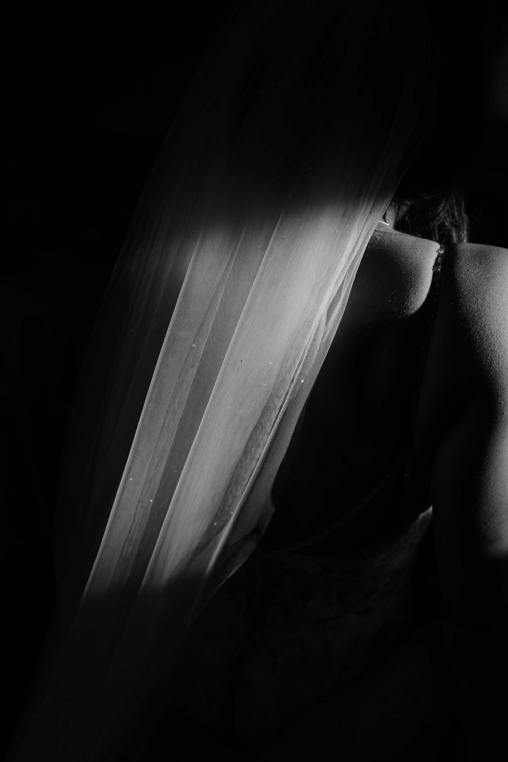 Marshall Meadows Manor House Content Creator Portfolio